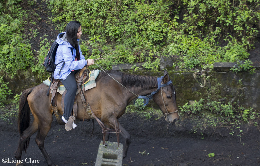 🌋 Collective Pacaya Volcano Hiking Tour - Image 20