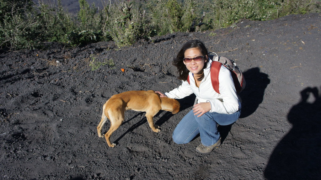 🌋 Collective Pacaya Volcano Hiking Tour - Image 28