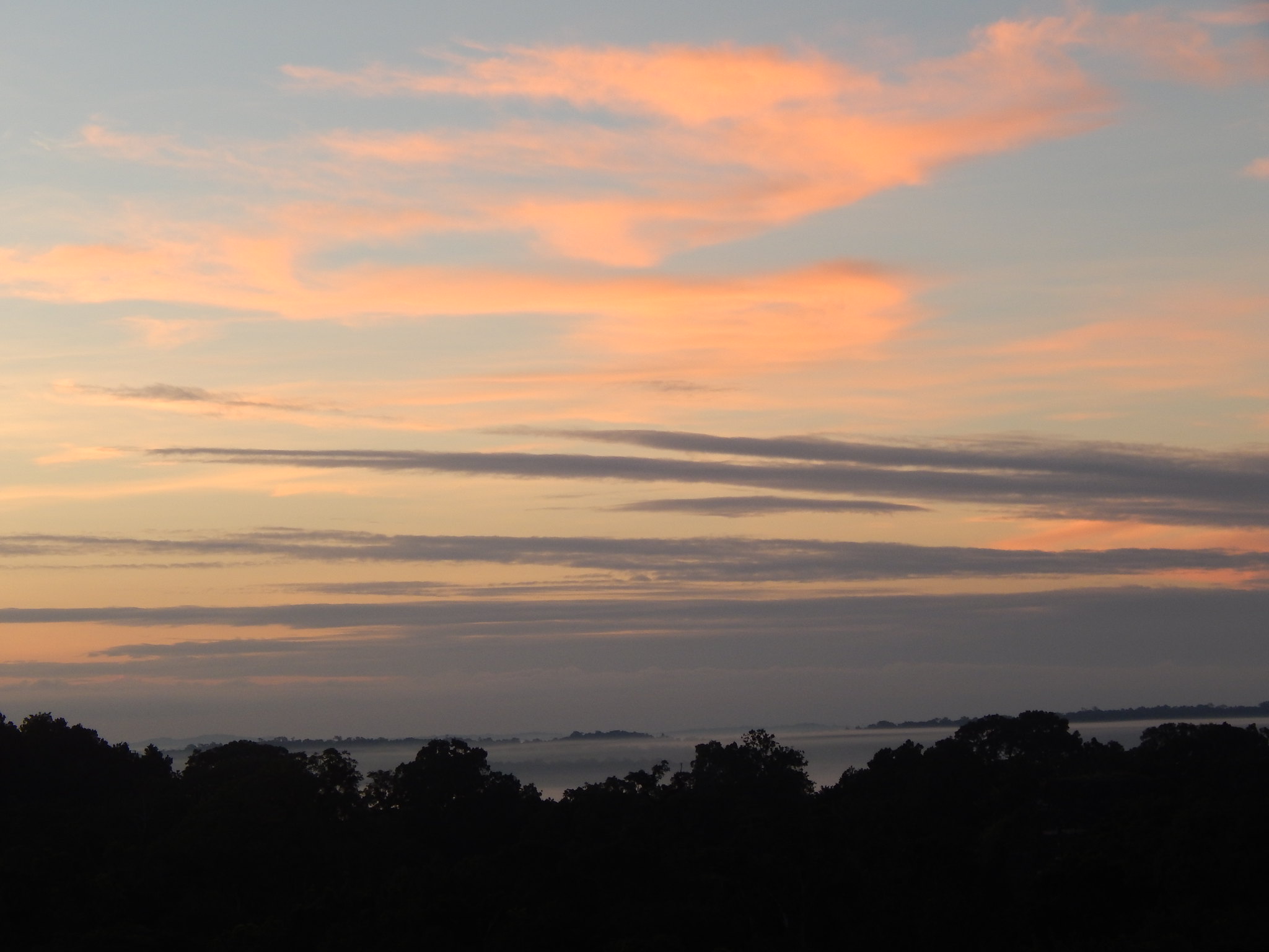 ๐๏ธ Tikal Overnight Bus Tour - Image 11