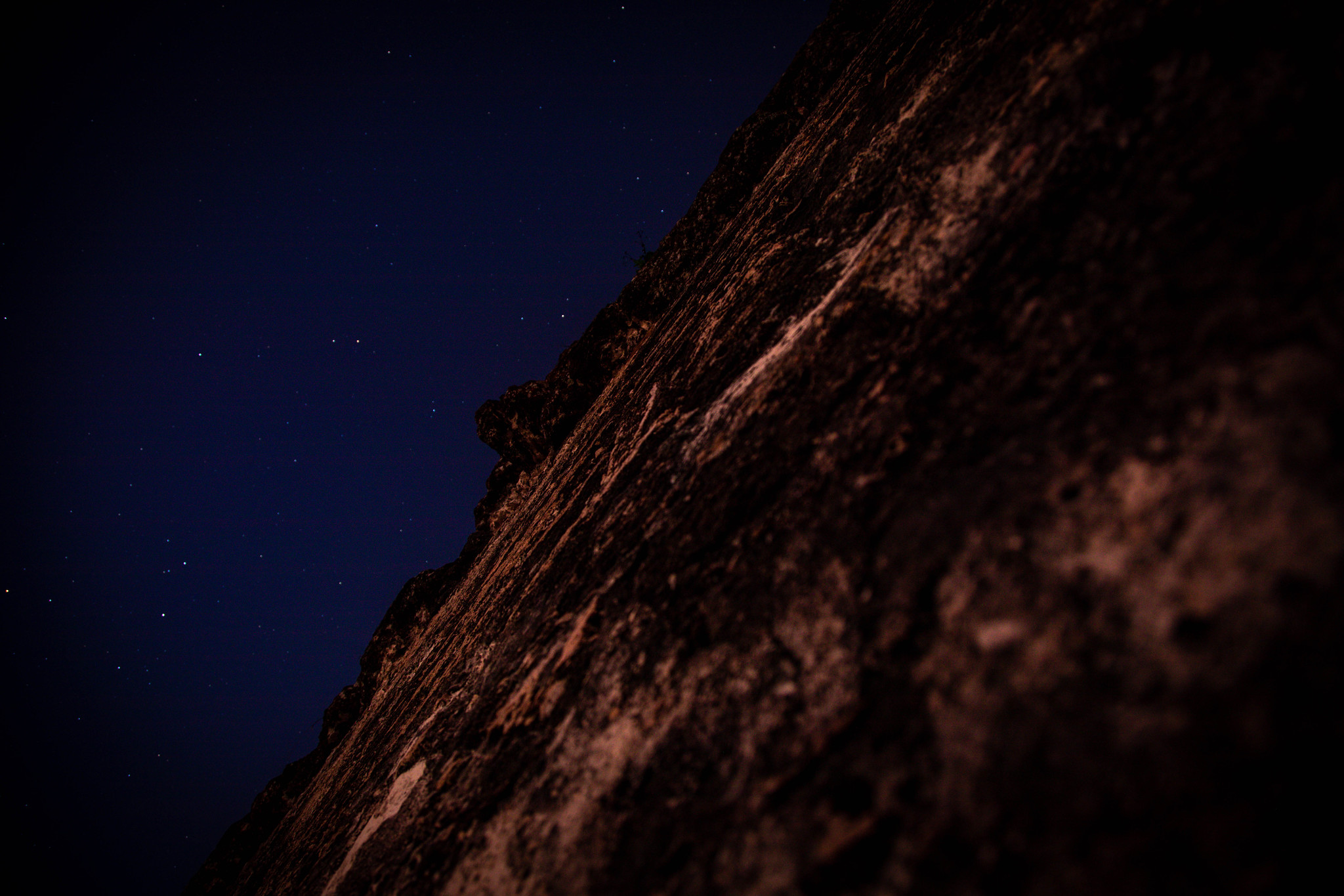 ๐๏ธ Tikal Overnight Bus Tour - Image 3