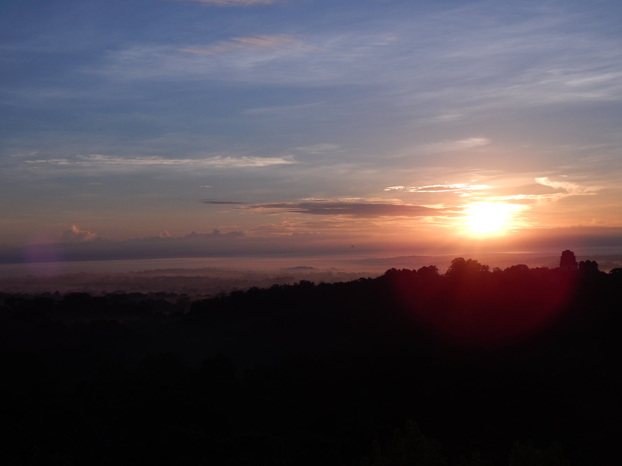 ๐๏ธ Tikal Overnight Bus Tour - Image 8