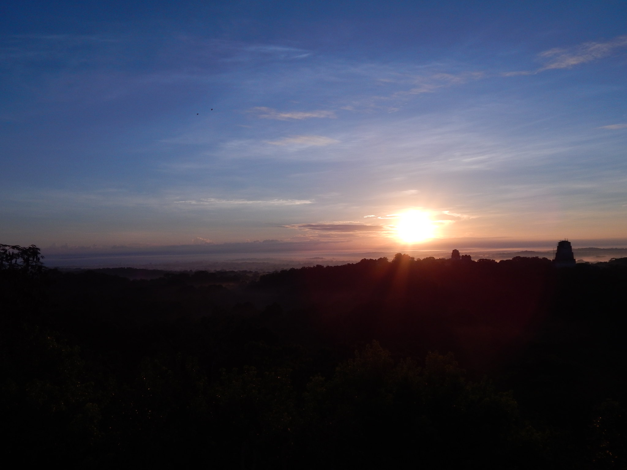 ๐๏ธ Tikal Overnight Bus Tour - Image 9