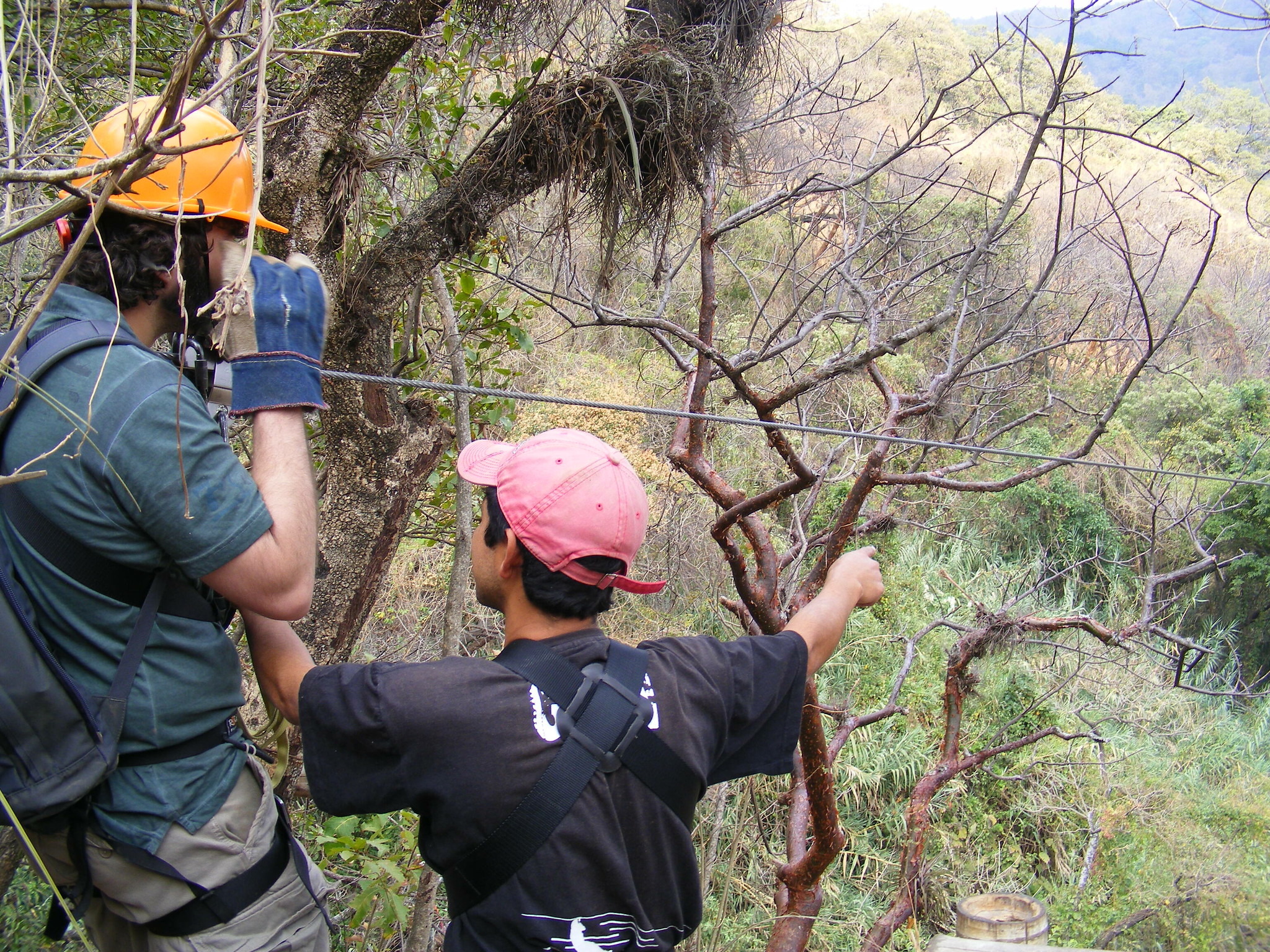 🌲 Canopy Adventure: Zip Lines & The CableBike